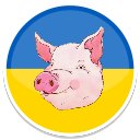 The national football team of Ukraine