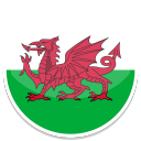 The Wales national football team